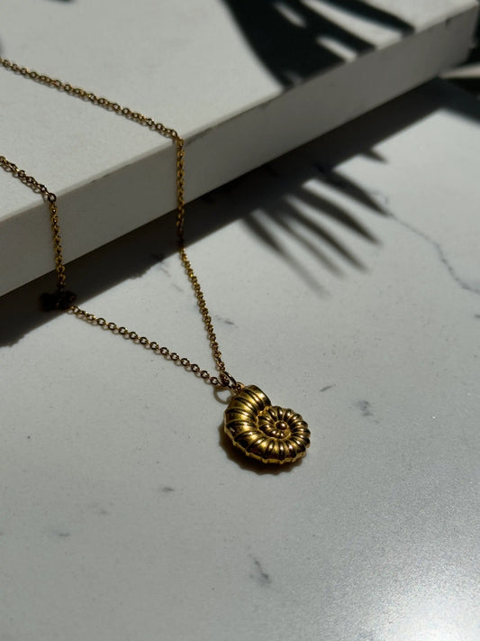Collar Concha espiral