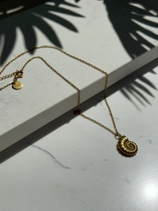 Collar Concha espiral