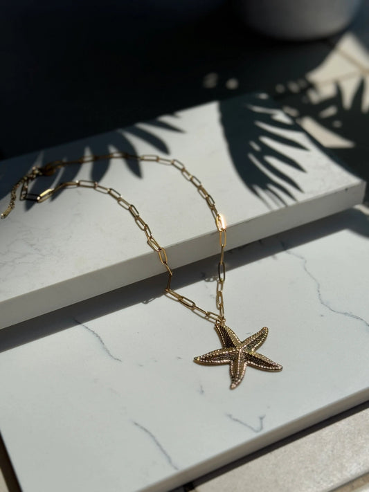 Collar estrella grande