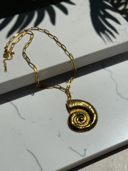 Collar concha espiral grande